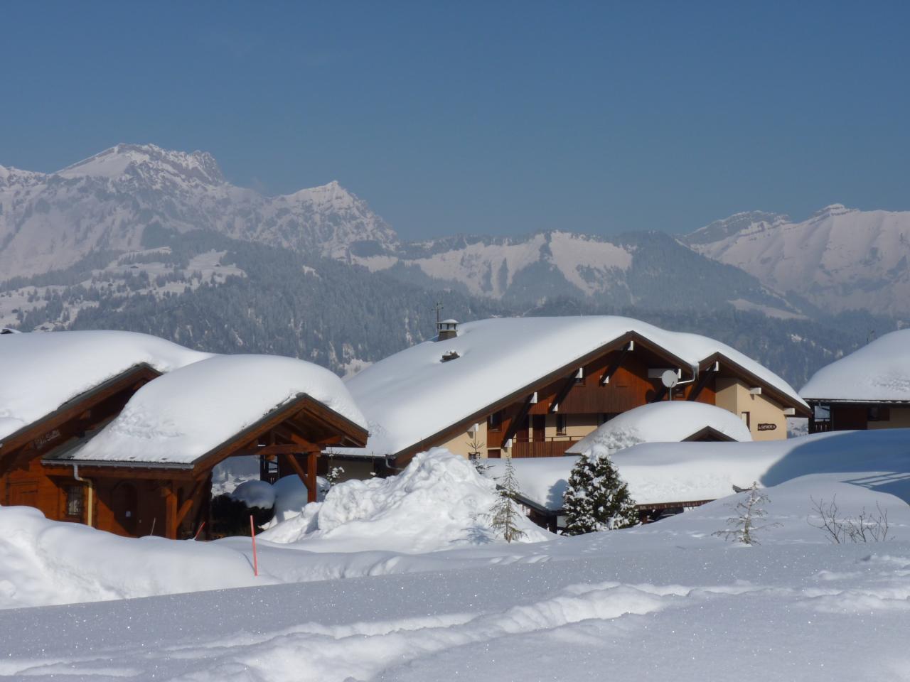 la sapiniere sous la neige