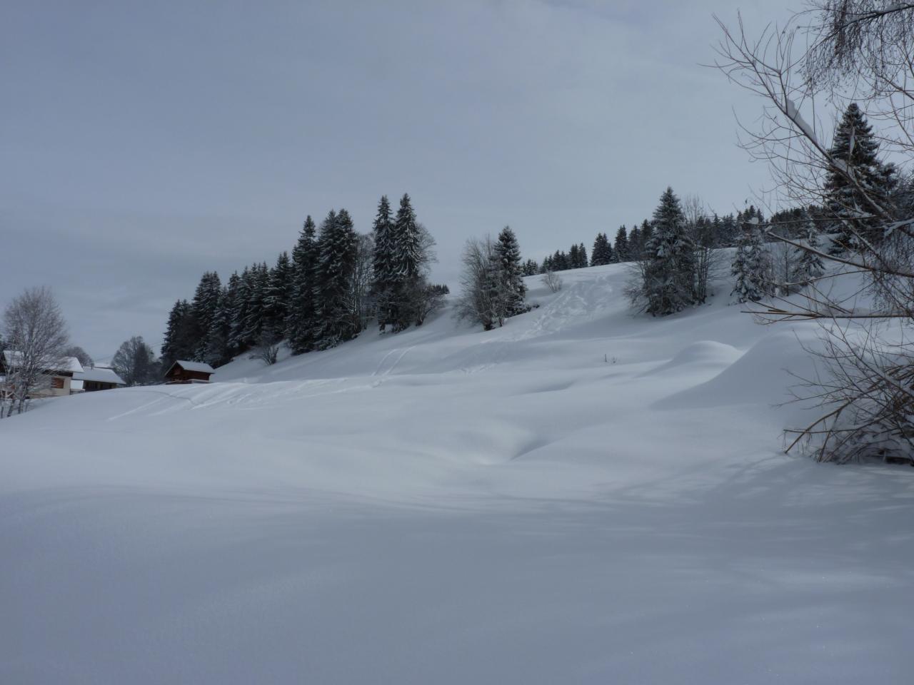 poudreuse au Moulin